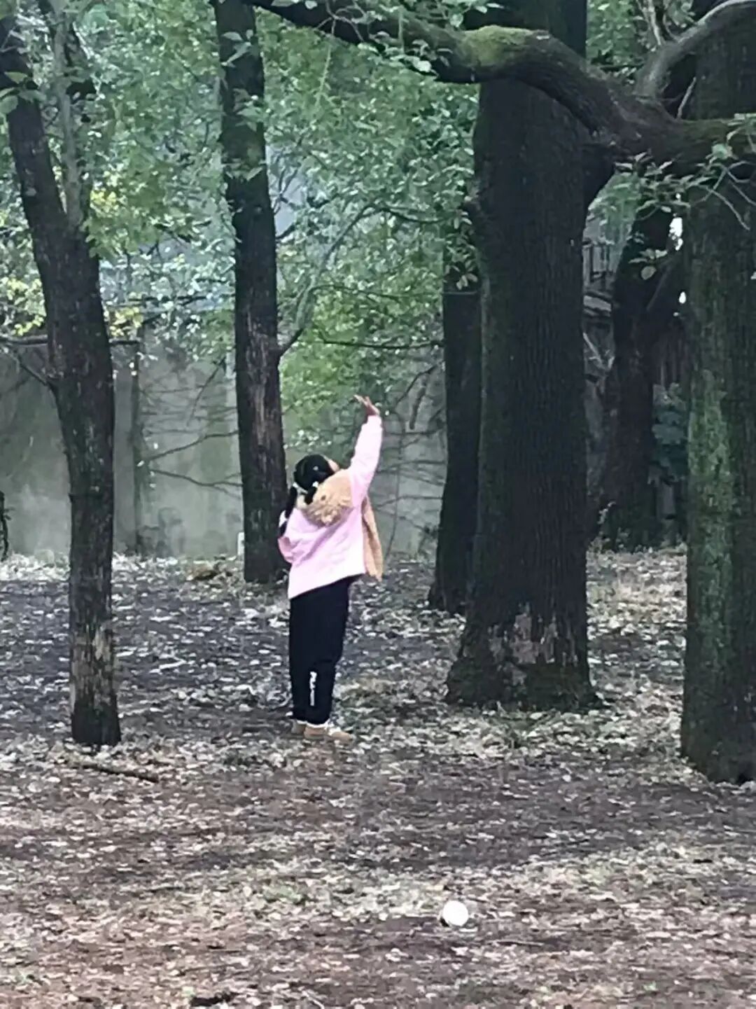 不内卷不躺平：告诉你唐诗背诵和玩游戏哪个优先