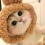 峡谷花生